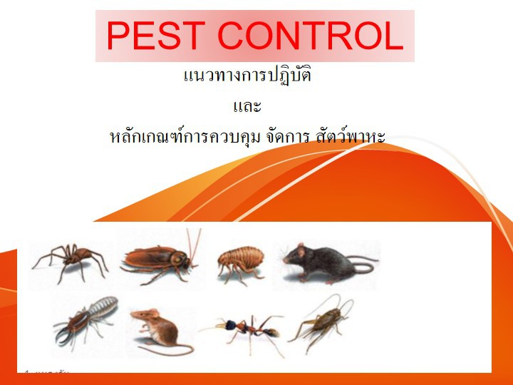 หลักสูตร หลักสูตร การบริหารจัดการ การควบคุมแมลงและ สัตว์พาหะนำโรค (PEST Control and Management)